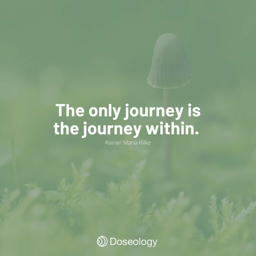 doseology's tweet photo. Today, my intention is to honor myself. .
.

#lifequotes #quotes #life #love #motivationalquotes #motivation #inspirationalquotes #quoteoftheday #lovequotes #inspiration #quotestoliveby #quote #doseology #getdosed #dosed #psilocybe #psilocybin #magicmushrooms #lsd #microdose… https://t.co/PDAhxaKwGW