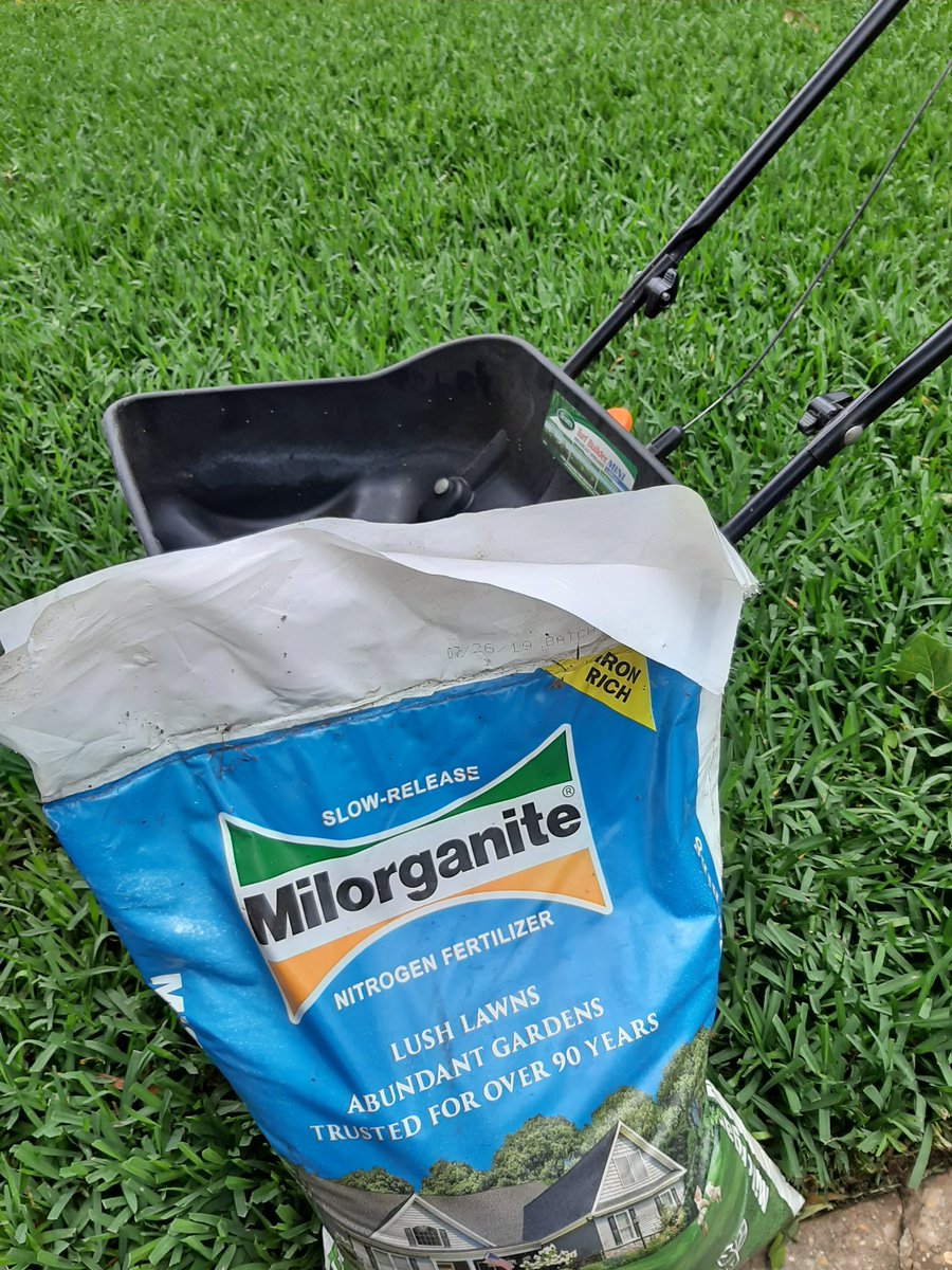 TwoBitHoh's tweet photo. Was able to #throwerdown during a break in the rain. Please remember why we celebrate Memorial Day! @Milorganite @AllynPaul @realtreed @grass_mn @Bakerm1986 https://t.co/LICsJXf1wb