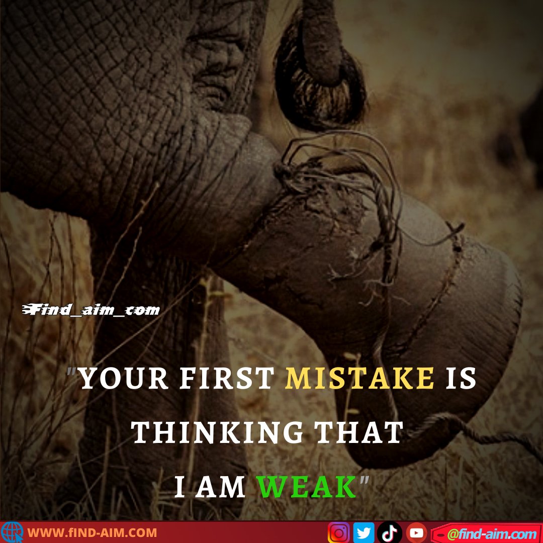 find_aim_com's tweet photo. Keep Following
@Find_aim_com
.
.
Tag if want to repost
.
#find_aim_com #study #career #future #motivate #inspire #motivation #hindishayari #inspiration #fitness #hindimotivation #success #motivationalquotes #quotes #motivational #life #hindiquotes #goals #quoteoftheday #shayari https://t.co/YhlanvvBGv