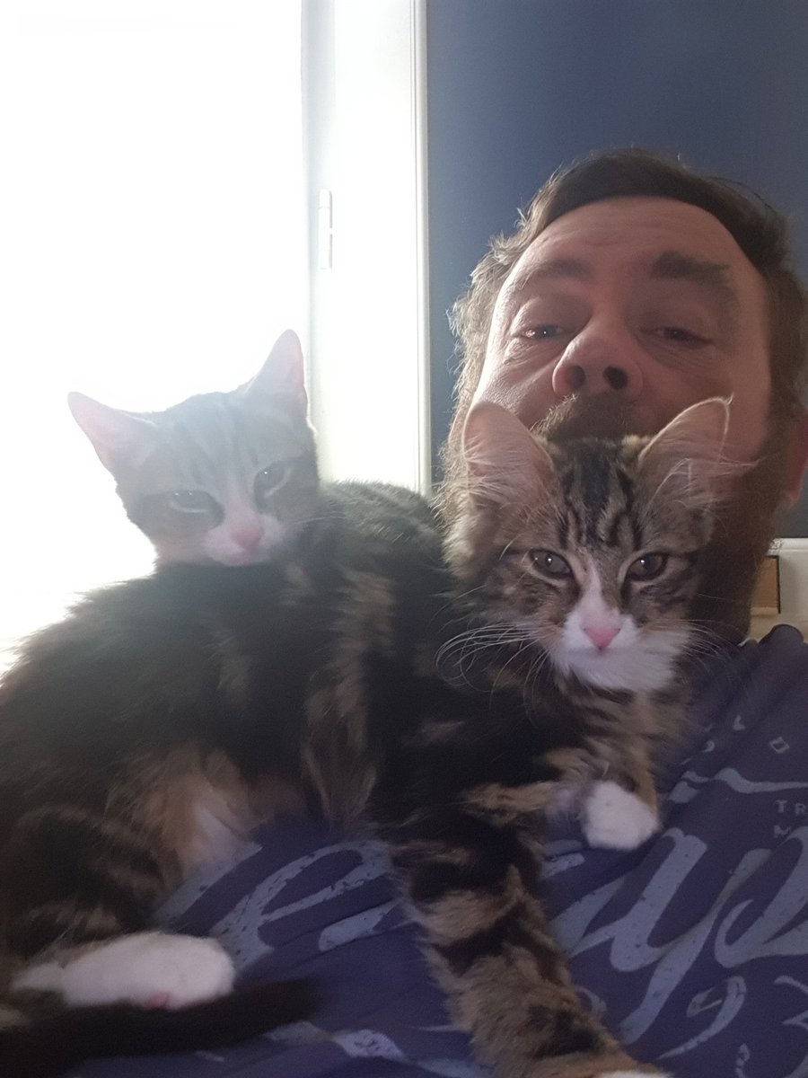 ABSSECURITIES's tweet photo. @chris_deany I luv to be out but these little darlings wont let me move. #pinneddown https://t.co/Ahj320XsOF