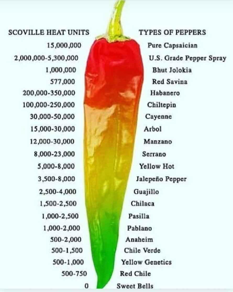 Chefgaganhumpal's tweet photo. Types of Peppers with their spiciness level

@Chefgaganhumpal

#chilli #pepper #hot #spicy #bhutjolokia #chefgagandeephumpal #TheGHKitchen #jalapenopoppers #jalapeno #habanero #purecapsaicin #scoville #heatunit #veryhot #foodknowledge #culinary https://t.co/kL1AEeaIzt