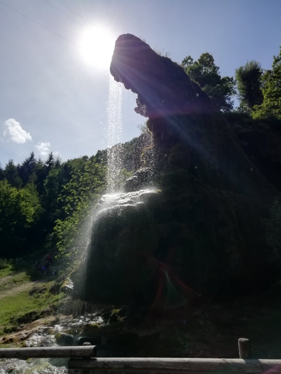 YleDimest's tweet photo. Ieri M. mi ha portata in questo luogo magico.
I picnic nel verde, vicino alle grotte e cascatelle sono i più belli. 🌸 https://t.co/MXkwnj2Tjs