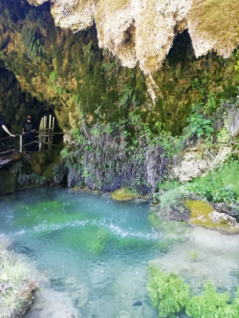 YleDimest's tweet photo. Ieri M. mi ha portata in questo luogo magico.
I picnic nel verde, vicino alle grotte e cascatelle sono i più belli. 🌸 https://t.co/MXkwnj2Tjs