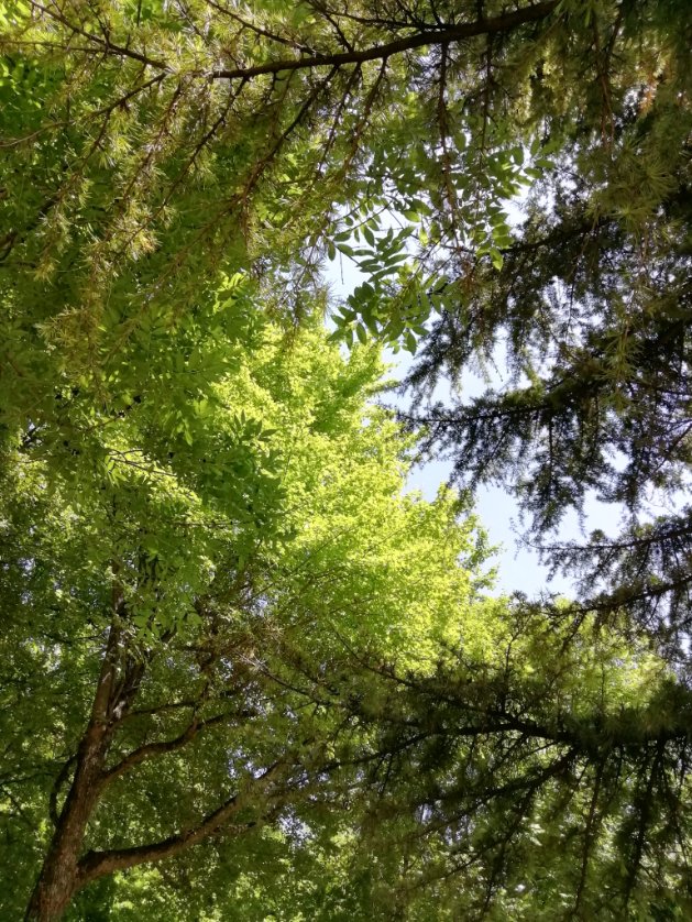 YleDimest's tweet photo. Ieri M. mi ha portata in questo luogo magico.
I picnic nel verde, vicino alle grotte e cascatelle sono i più belli. 🌸 https://t.co/MXkwnj2Tjs