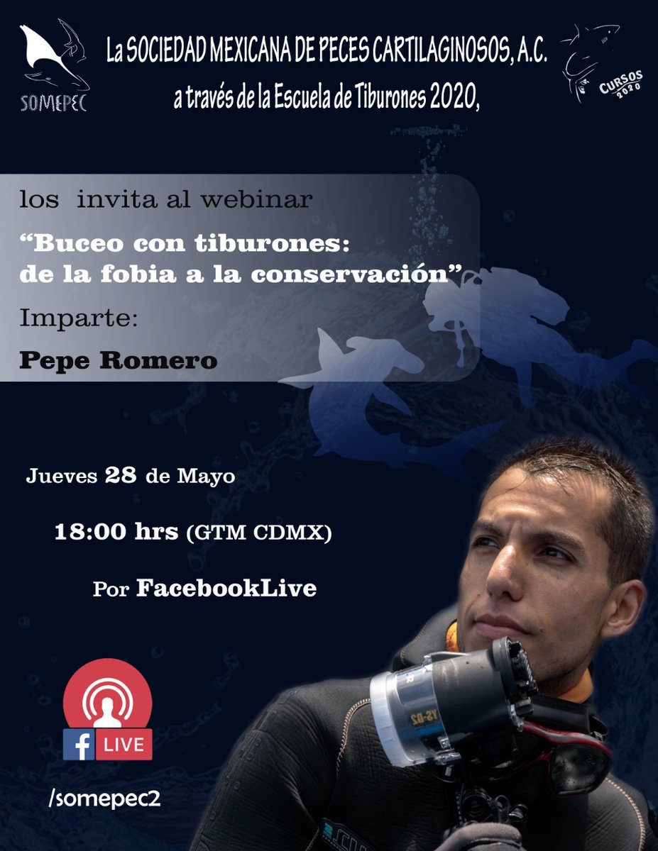 SOMEPEC's tweet photo. Conozcamos la historia de Pepe Romero, cómo una fobia se convirtió en su pasión.
Jueves 28, 18:00 horas (centro de México).
#DesmitificandoTiburones #Somepec #PepeRomero https://t.co/OvFbV8SdQI