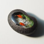 手のひらサイズのアクアリウムは見ているだけで心を和ませてくれそう