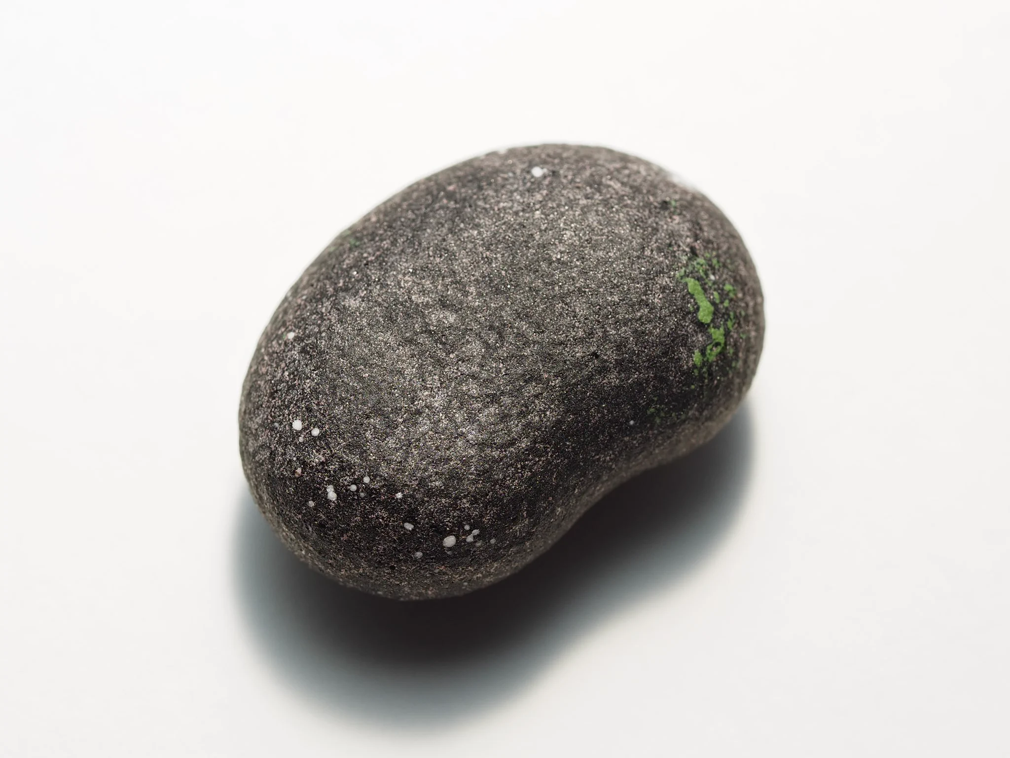 手のひらサイズのアクアリウムは見ているだけで心を和ませてくれそう