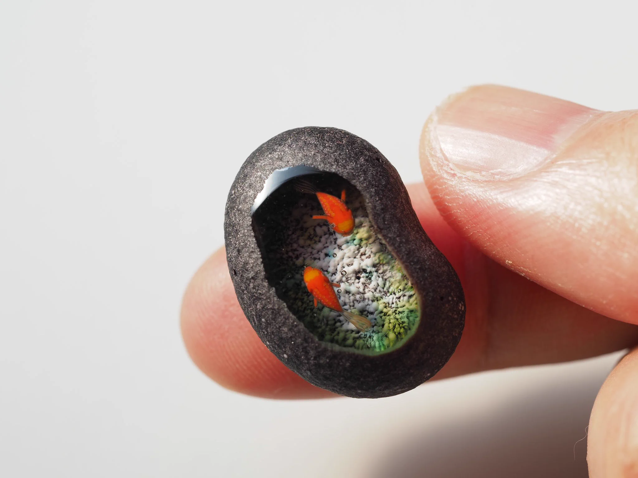 手のひらサイズのアクアリウムは見ているだけで心を和ませてくれそう