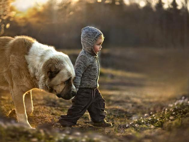 Justice_Seeker5's tweet photo. Life lets you to enjoy when you let go of fear, doubts and worries. https://t.co/jx4VvcGNIO
