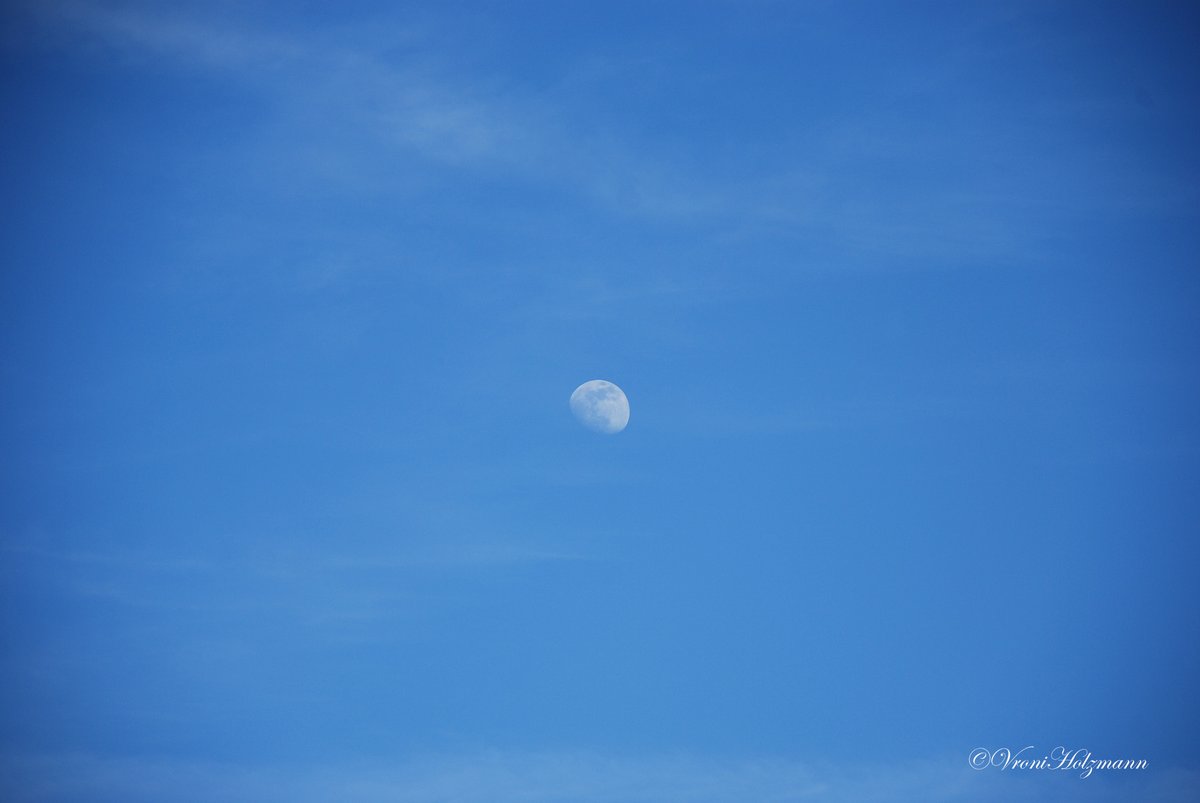 Vroniholzmann's tweet photo. A calm moon
#vronistuff #landscapes #positiveisolation #nature #photography #moon https://t.co/i0YjBKMdvL