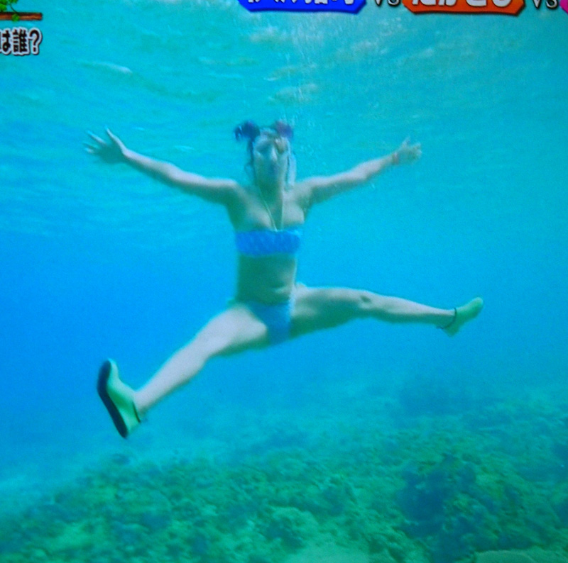 フワちゃん好き～、テレビに出てると嬉しい。 うちの水色のインコの