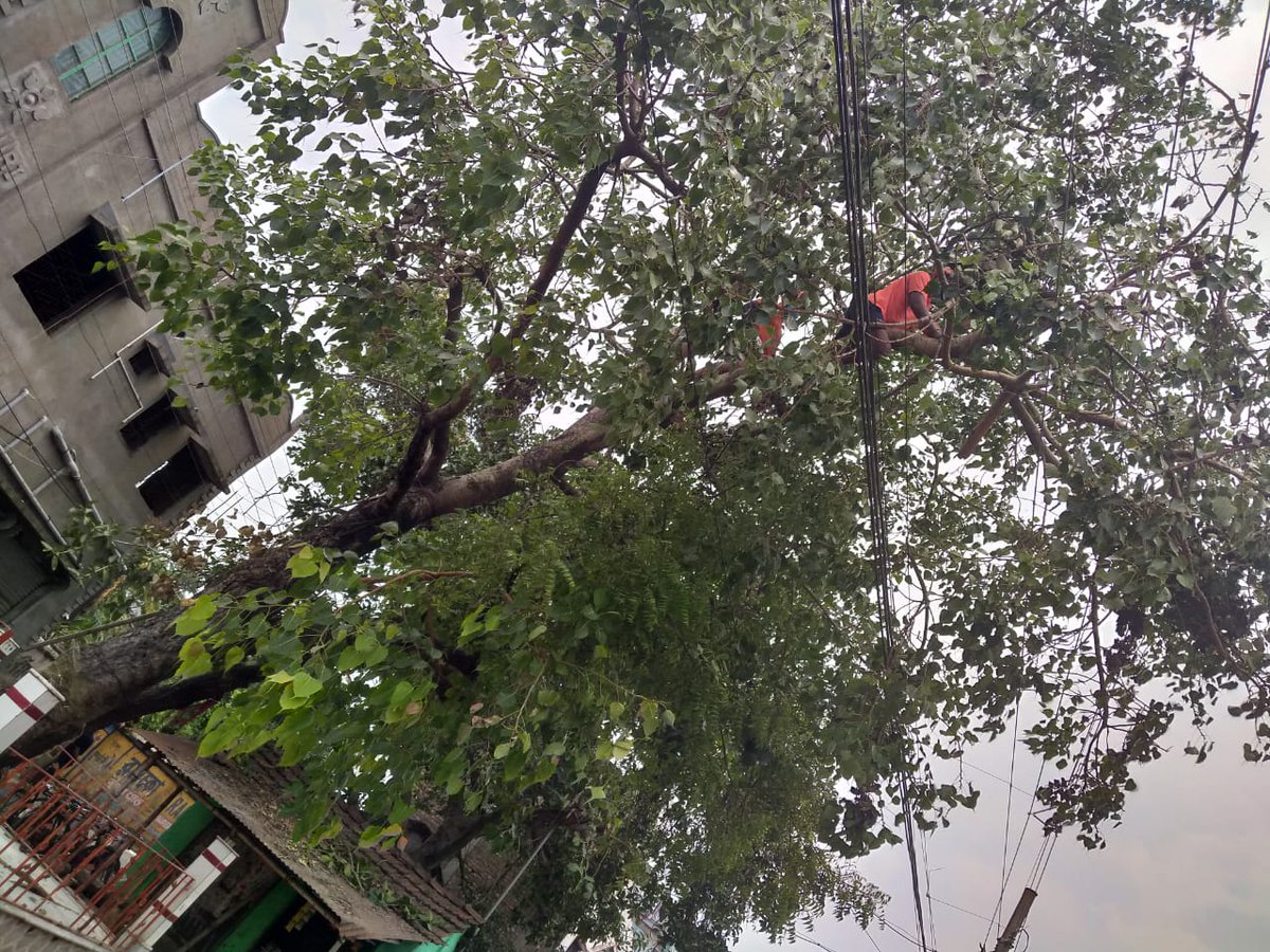 DGPOdisha's tweet image. More photos of ODRAF team working in West Bengal. Well done ODRAF.
#CycloneAmphanUpdate