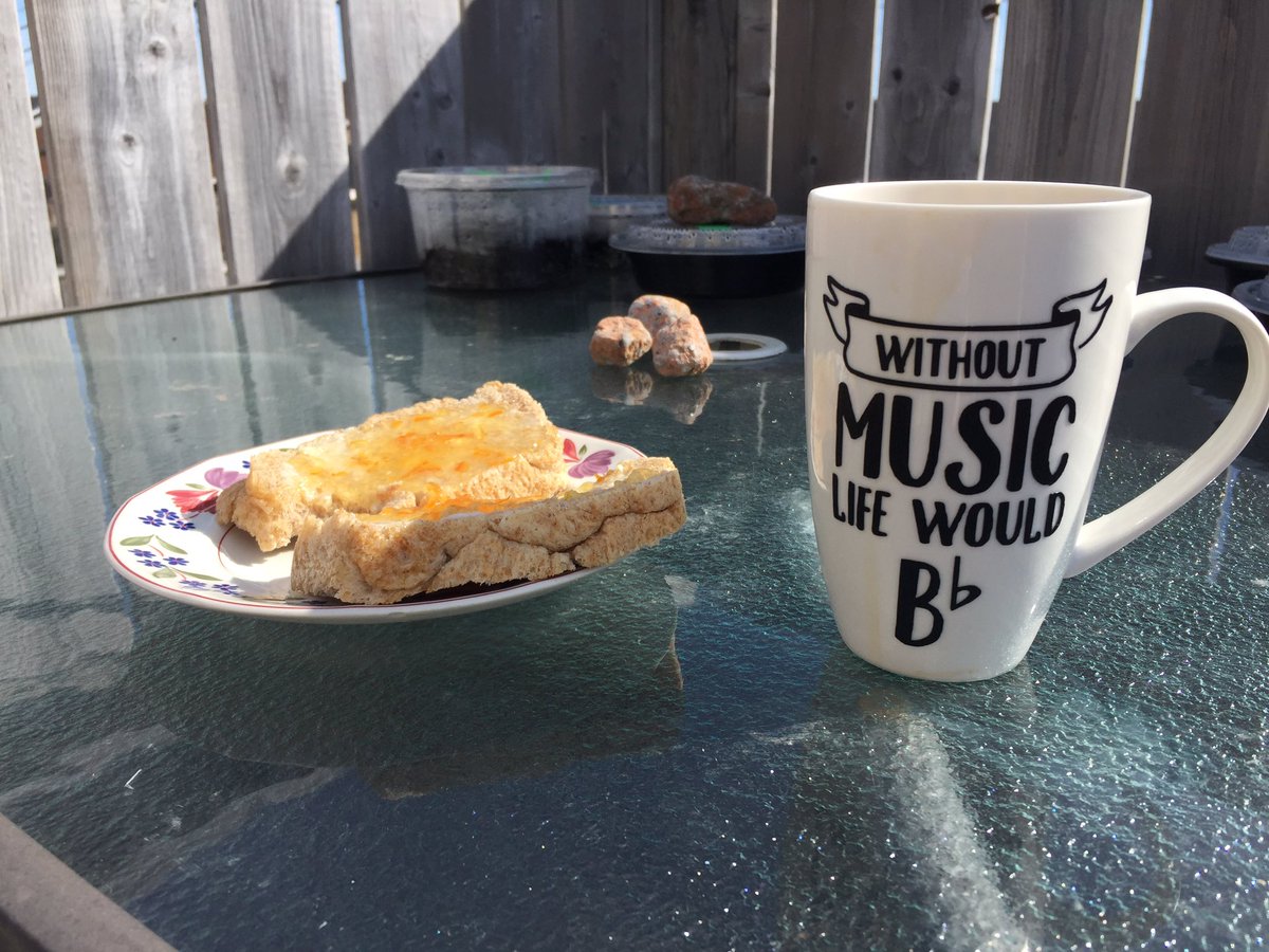 dawn_nl's tweet photo. Good morning OPE! Breakfast on the deck this morning in my favourite music mug!! Looking forward to seeing some of my grade four students today in our meet to do some music activities and singing!! @OctagonPond https://t.co/gNVAyzQ3gr