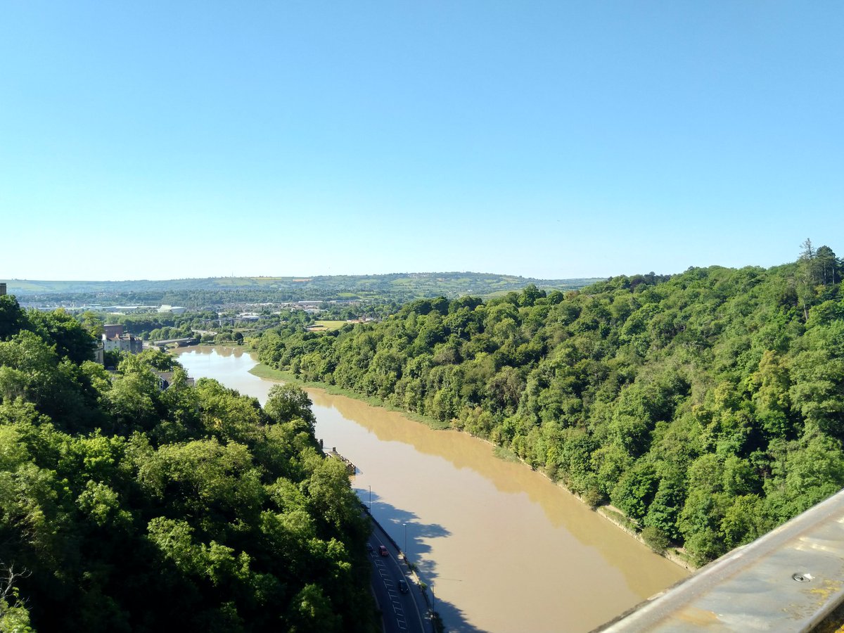 Miss Dale tweet media