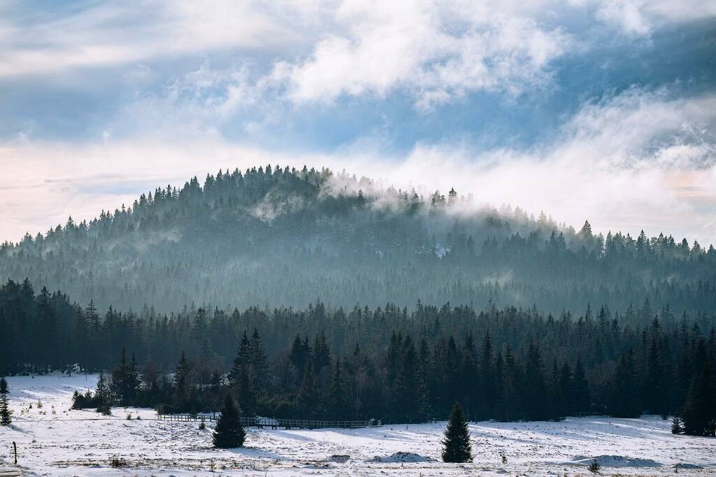 robertbagio's tweet photo. Krušné hory. Vzpomínka na zimu🙂
.
.
.
#mountains #krusnehory #winter #naturephotography #nature #beauty_of_czechia #sun #like4like #instagood #forest #priroda #fotimecesko #landscape #ceskakrajina #czechrepublic #czech #sonya7iii #alpharoamers #sonyalpha #rsa_nature #igersc… https://t.co/FSz6hOxyRu