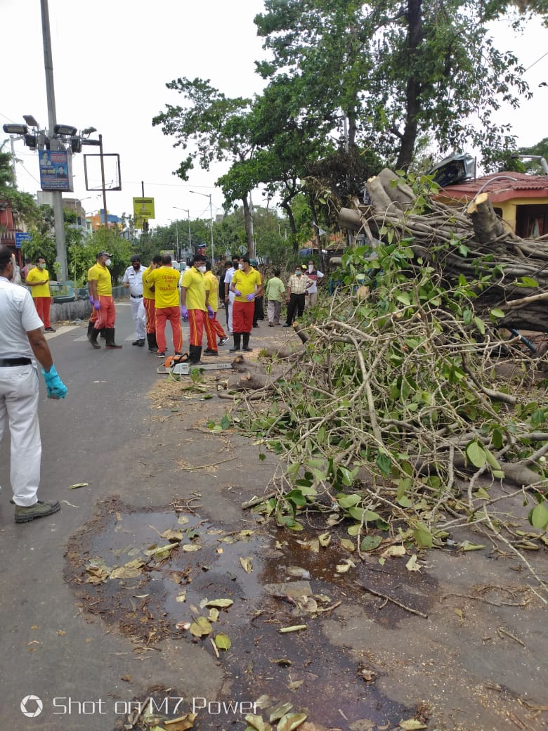 OdishaDiary's tweet photo. #OdishaDisasterManagement team is working in different areas of #HowrahPoliceCommissionerate clearing uprooted trees under the direct supervision of #HowrahCityPolice to ensure road clearance and public safety. https://t.co/ZalpxhJrJx