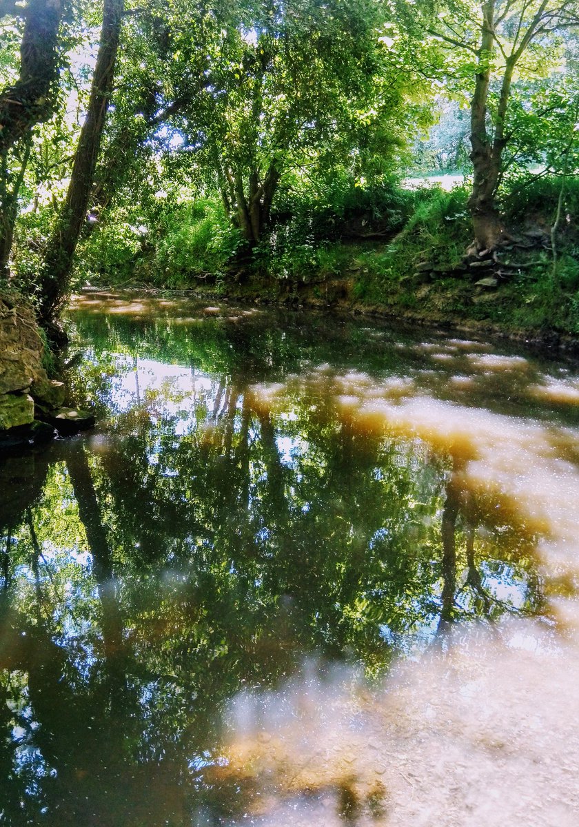 TheMildRover's tweet photo. Cooling down in the river.
#DailyWander
✌️☮️🖤 https://t.co/qNKuVVL63c