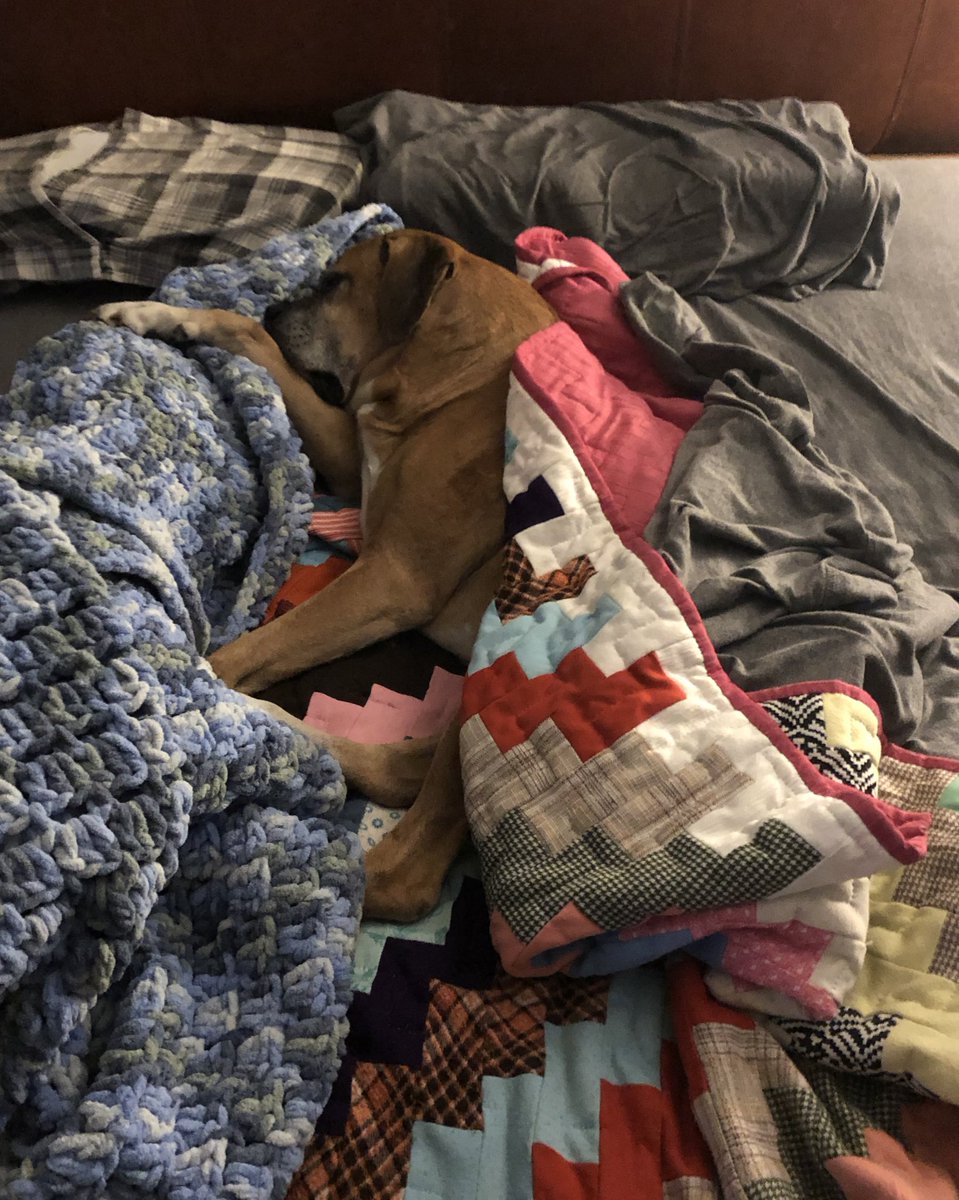 He doesn’t have opposable thumbs. I have no idea how he does this.