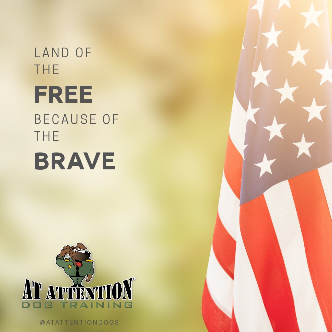 Land of the Free because of the Brave.🇺🇲 #MDW2020 #MemorialDay #VeteranOwned