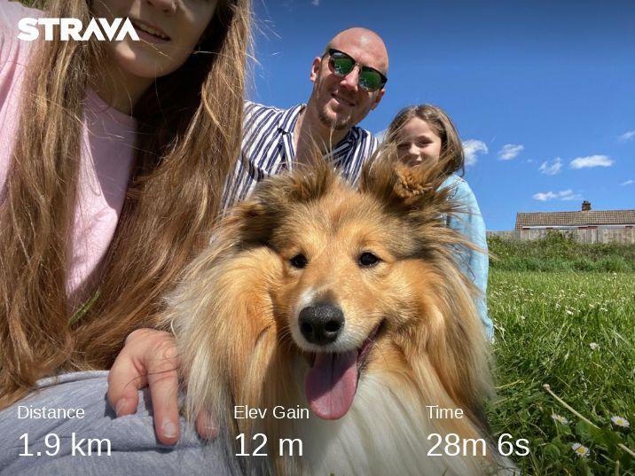 We’ve been taking Sally out for walks because her elderly owners are struggling to get out during lockdown. Think the girls would love to bring Sally home 🦮😍 #whinnerstowembley ⁦<a href="/AcklamWhin/">Acklam Whin Primary</a>⁩ ⁦<a href="/AcklamGrange/">Acklam Grange School</a>⁩
strava.app.link/0bhiqtr6L6