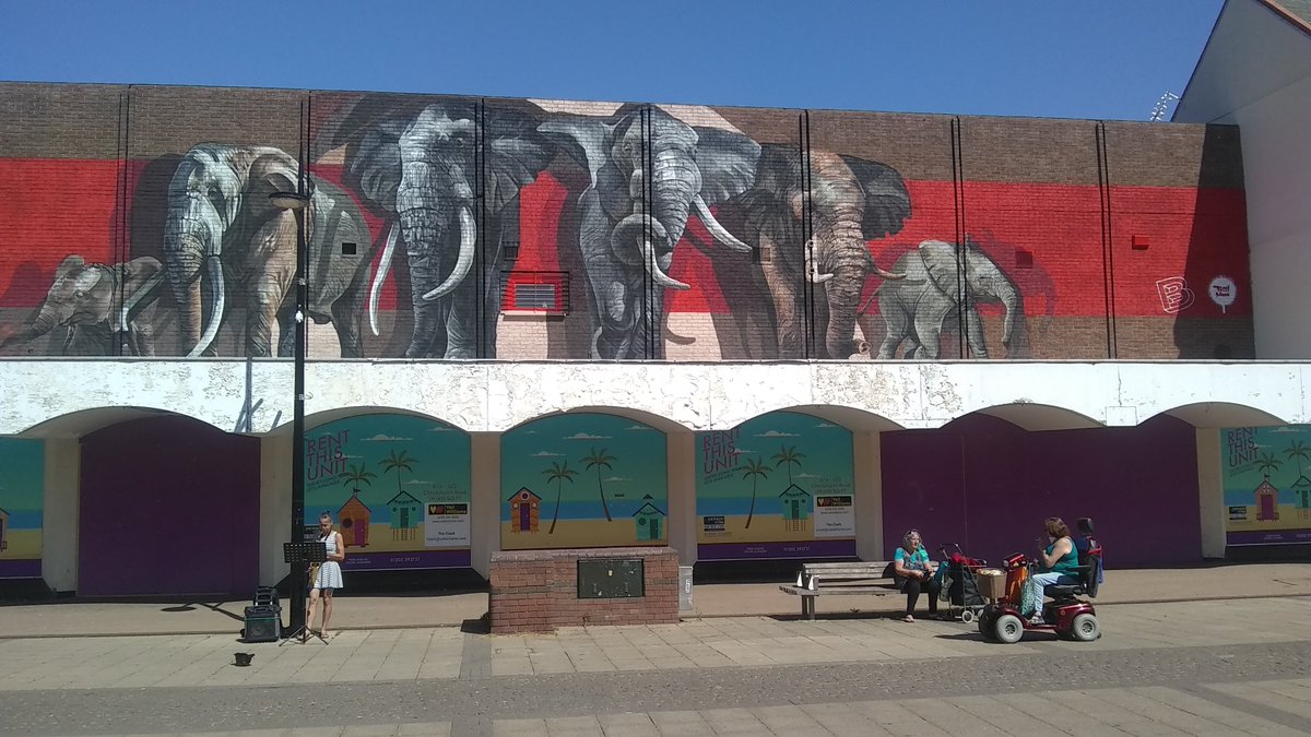 gotbeaf_'s tweet photo. They are finally here in all their glory! Say hello to #AMemoryOfElephants created by the amazing @krishna_malla from #TechMoon for #BEAF2020! 
Go check them out @SovCentBoscombe - our new BEAF HQ! https://t.co/ScE6gOD4pc