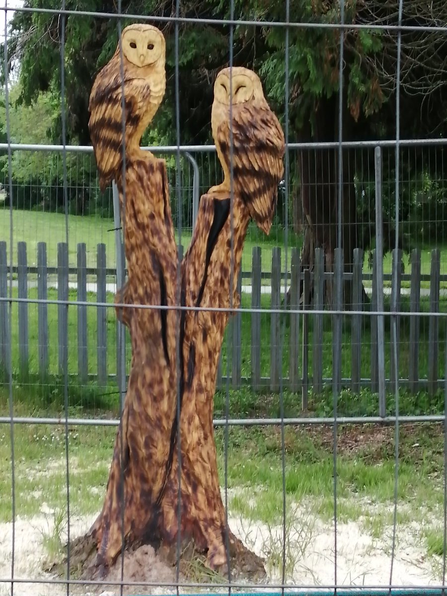 EmmetStack's tweet image. 