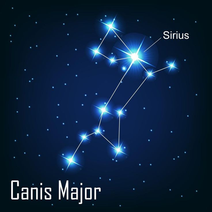 Sirius molti nomi dei membri della famiglia Black derivano da stelle e costellazioni. il nome di Sirius, in particolare, deriva dalla stella più luminosa della costellazione del Cane Maggiore, il che è piuttosto apprpriato visto che il cane è anche il suo Animagus