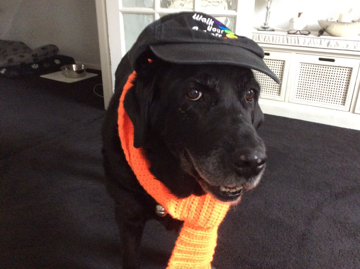 Gillianeames's tweet photo. @GrantPoiner @AndrewGeorge_ @huw4ogmore @KarlGaffney1 Thank you all very much for logging your fantastic @walkasone_org steps #orangeapplesteam Andrew I can see you’ve been busy Well Done all I have been out with #Rosiedog earlier before it got to crowded https://t.co/P2YBI9JkLy