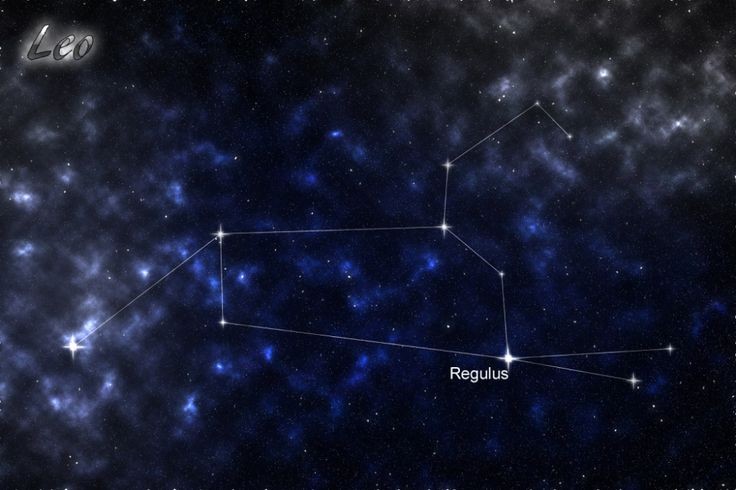 Regulus, Aracturus Regulus Aracturus Black prende il nome da ben due stelle, facenti parte rispettivamente delle costellazioni del Leone e di Boote. entrambe sono le più luminose.