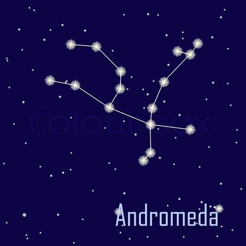 Andromeda Andromeda Tonks (nata Black), sorella di Bellatrix e Narcissa, prende il nome dalla costellazione di Andromeda, che a sua volta ha preso il nome da una principessa greca