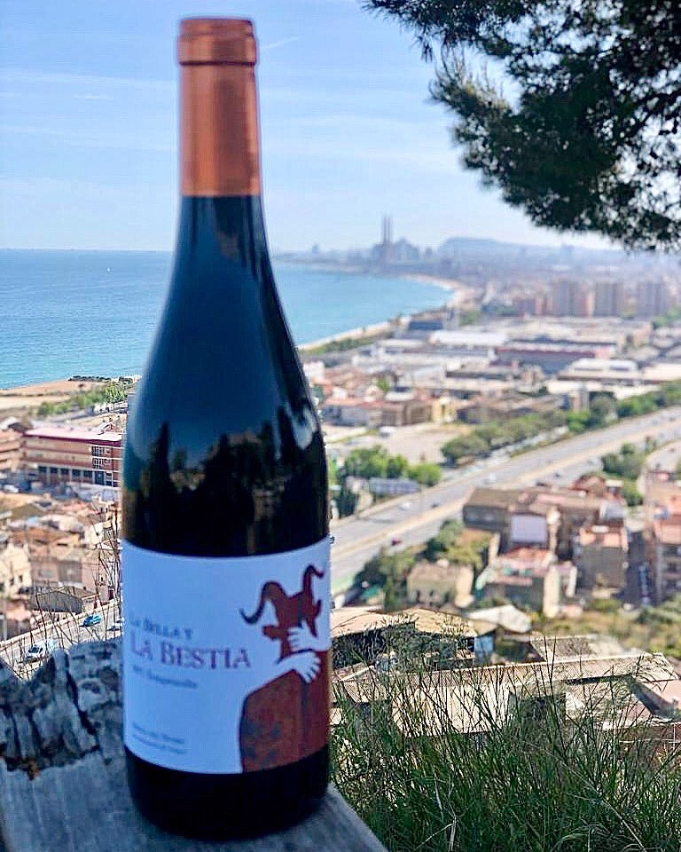 DEJAVINS tweet media