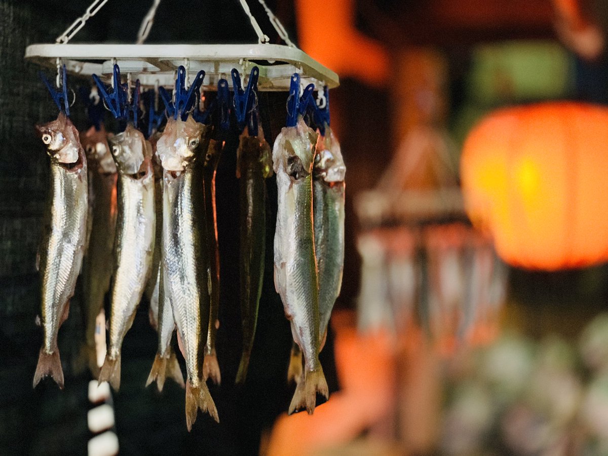 joyful_lab's tweet image. 近所にある居酒屋の軒先にいつもぶら下がってる魚🐟これだけでめっちゃ日本酒飲みたくなるよねー🍶
