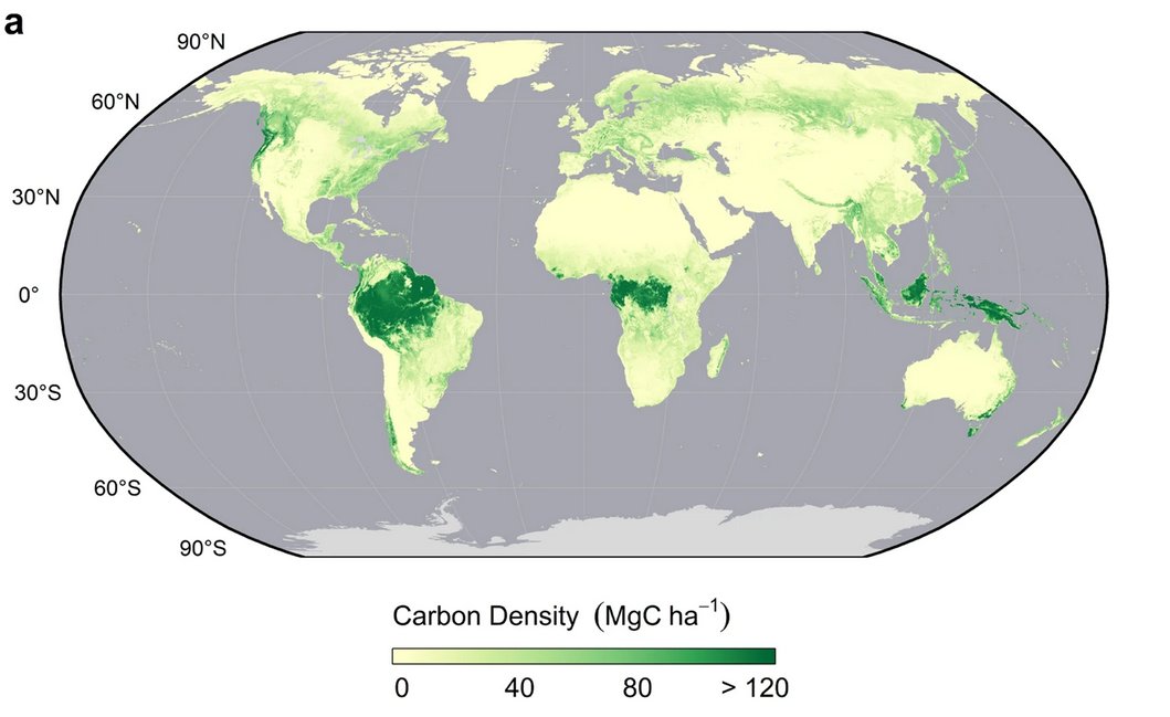 Where is the additional biomass going to come from, then? Probably from imports. 86% of the planet’s biomass is located in tropical and sub-tropical regions. Another technology-driven resource grab by the powerful at the expense of nature and the poor?  #neocolonialism