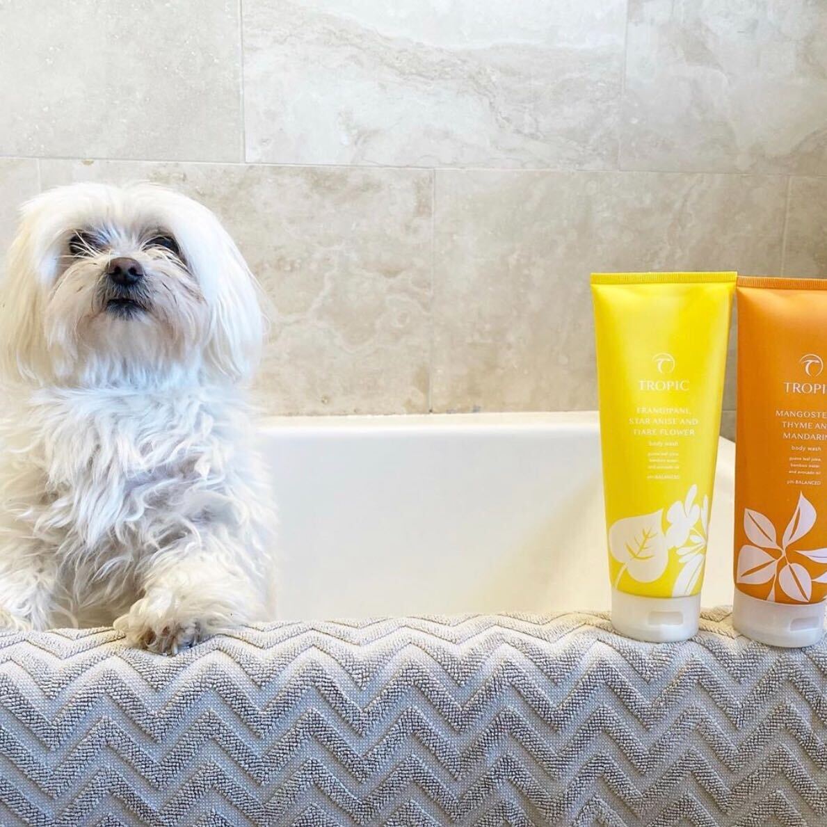 TropicSkincare's tweet image. We LOVE seeing you get creative with your Tropic products!

Here&apos;s a roundup of just some of our recent favourites...

Want to see your picture shared on our social? Don&apos;t forget to tag us using @tropicskincare or #LoveTropic