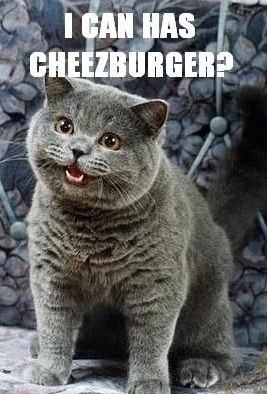 Devon_OnEarth's tweet photo. The zoomers don't realise how privileged they are to have fresh memes every weak, when I was growing up this was the only meme and we had to make it last for 5 years https://t.co/6JWZFLYjF9