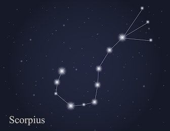 Scorpius il nome di Scorpius Malfoy deriva dalla costellazione dello Scorpione, che fa parte delle costellazioni dello Zodiaco. è una delle più luminose e per questo facile da individuare, è un importante punto di riferimento nel cielo stellato.