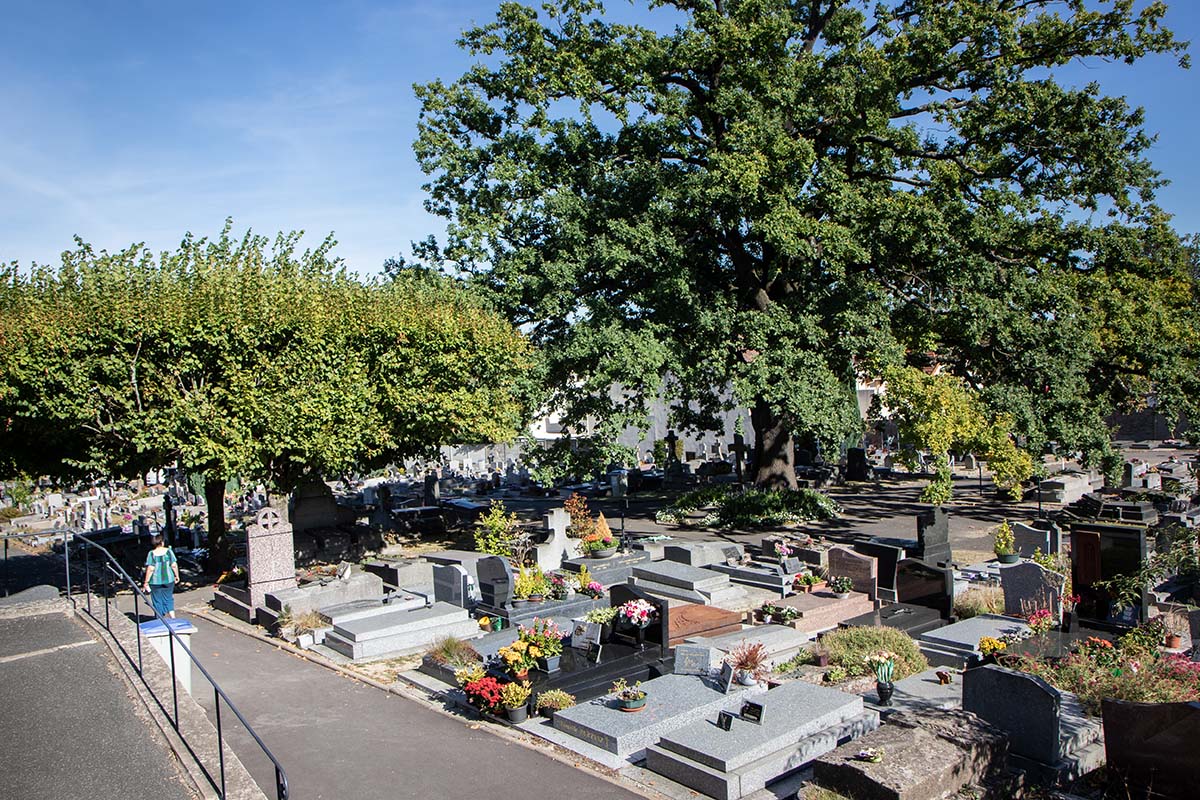fontenay92's tweet photo. A partir d'aujourd'hui, le cimetière est ouvert tous les jours de 8h30 à 19h y compris le week-end et les jours fériés. L’entrée des Pierrelais est de nouveau accessible au public.
A lire dans le #FlashInfoFAR du jour :
https://t.co/EXD8cOwm4p https://t.co/eLX8fmOrvB