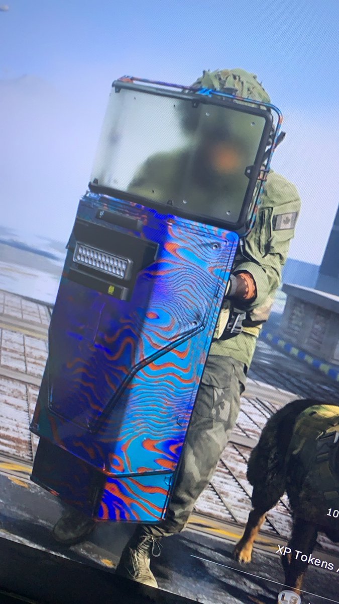 splitzbam's tweet image. @GalopyService Thank you