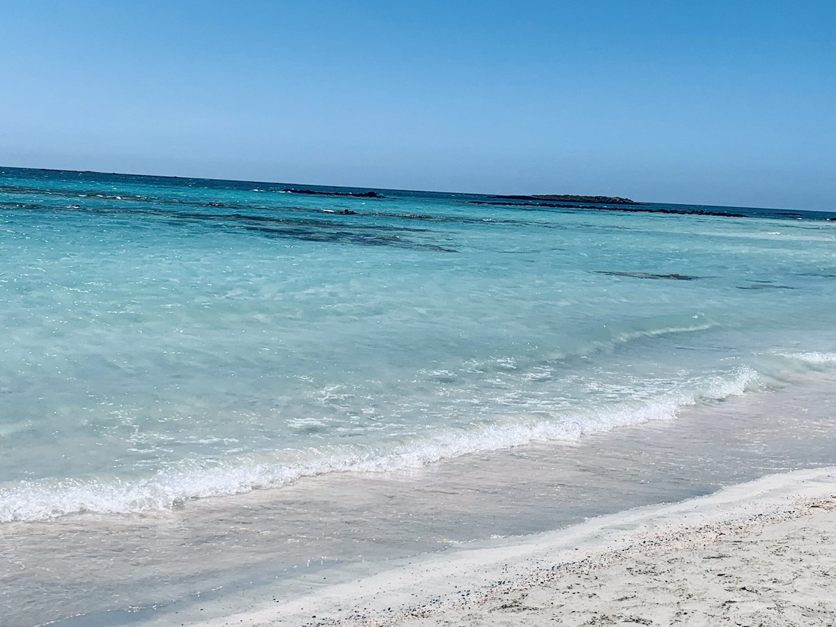 KristinaGoumas's tweet photo. Most beautiful beach I’ve ever seen. #Elafonisi #Crete2019 https://t.co/hhHfPaniWS