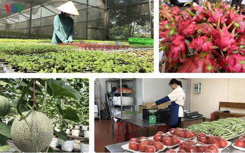 Golden opportunity for Vietnam's farm produce to regain home market because of Covid-19 @AgroVietnam ow.ly/XF2U50zPlr8