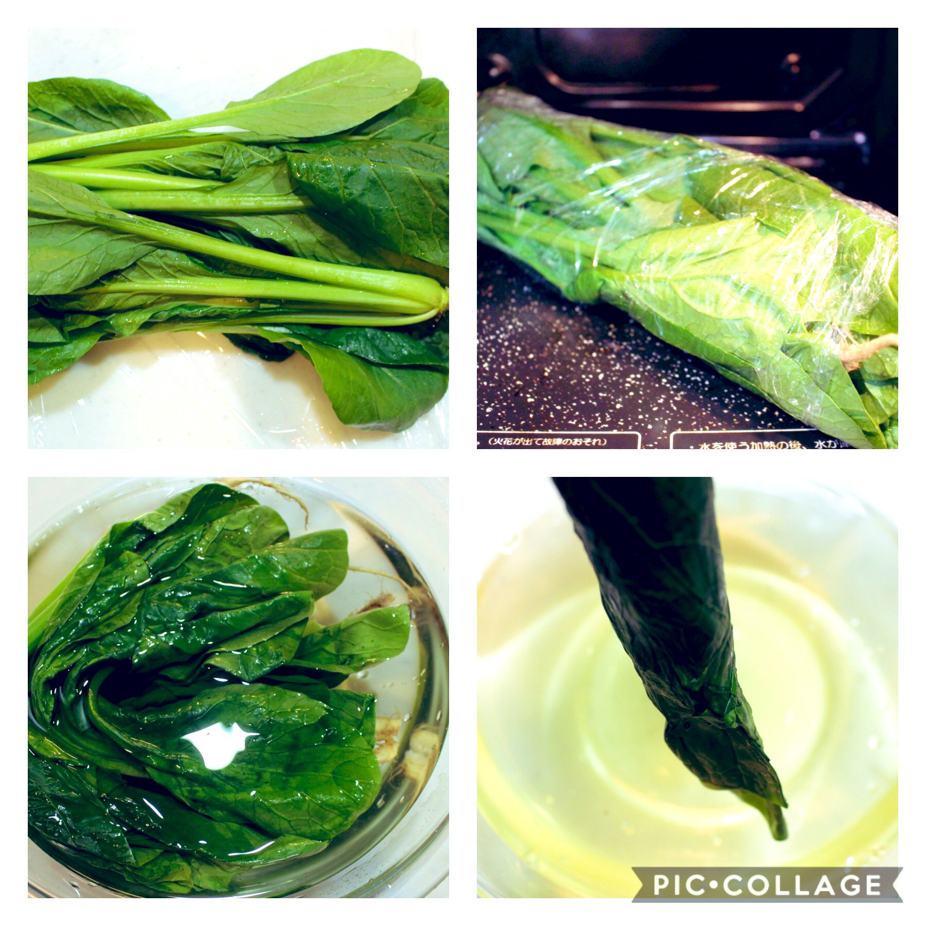 つくりおき食堂まりえ いま小松菜が安いのでぜひ レンジで簡単 小松菜のおひたし 小松菜 白だし 水 小松菜 はラップにつつみレンジで3分チン 水につけアクをとり白だしで味付けして完成 小松菜と白だしだけで10分以内に作れるので あと一品増やし