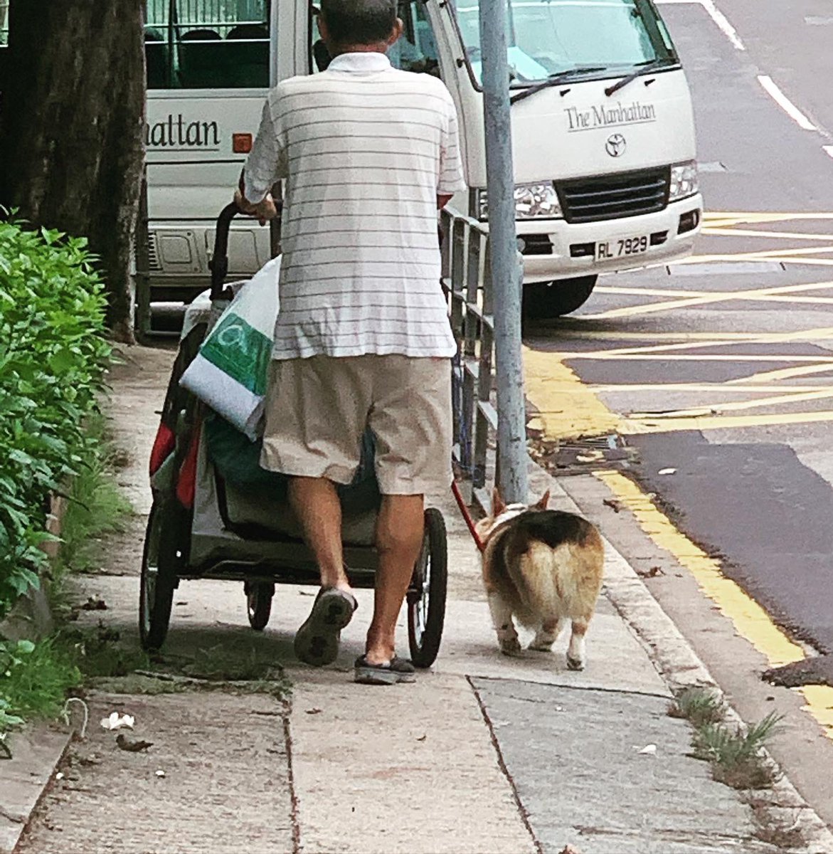DameHobbs's tweet photo. #southchinasealives #worthfightingfor #hongkong #weareallhongkongers #stanley #mybackyard #makingmemories #middleagedmusing #hobbservations @SCMPNews @appledaily_hk @HongKongFP @discoverhk @rthk_enews @BBCWorld https://t.co/ko593IwZ7J