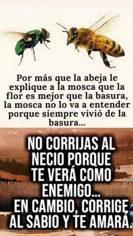 astor_noe's tweet photo. @FerLuizaFag https://t.co/mYkEpAHXoZ