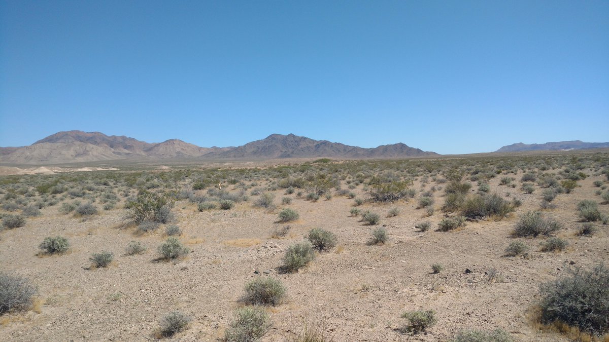 Heading Southeast means increasing continental and also aridity. All these sites had loads of Ephedra shrubs and became increasingly drier and with greater temperature variation. Here are what some looked like