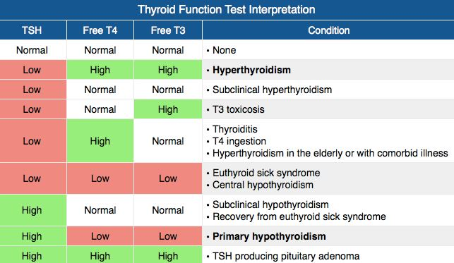 Handout From Our Second Endocrinology Episode Episode 32 handout-from-our-second-endocrinology-episode-episode-32