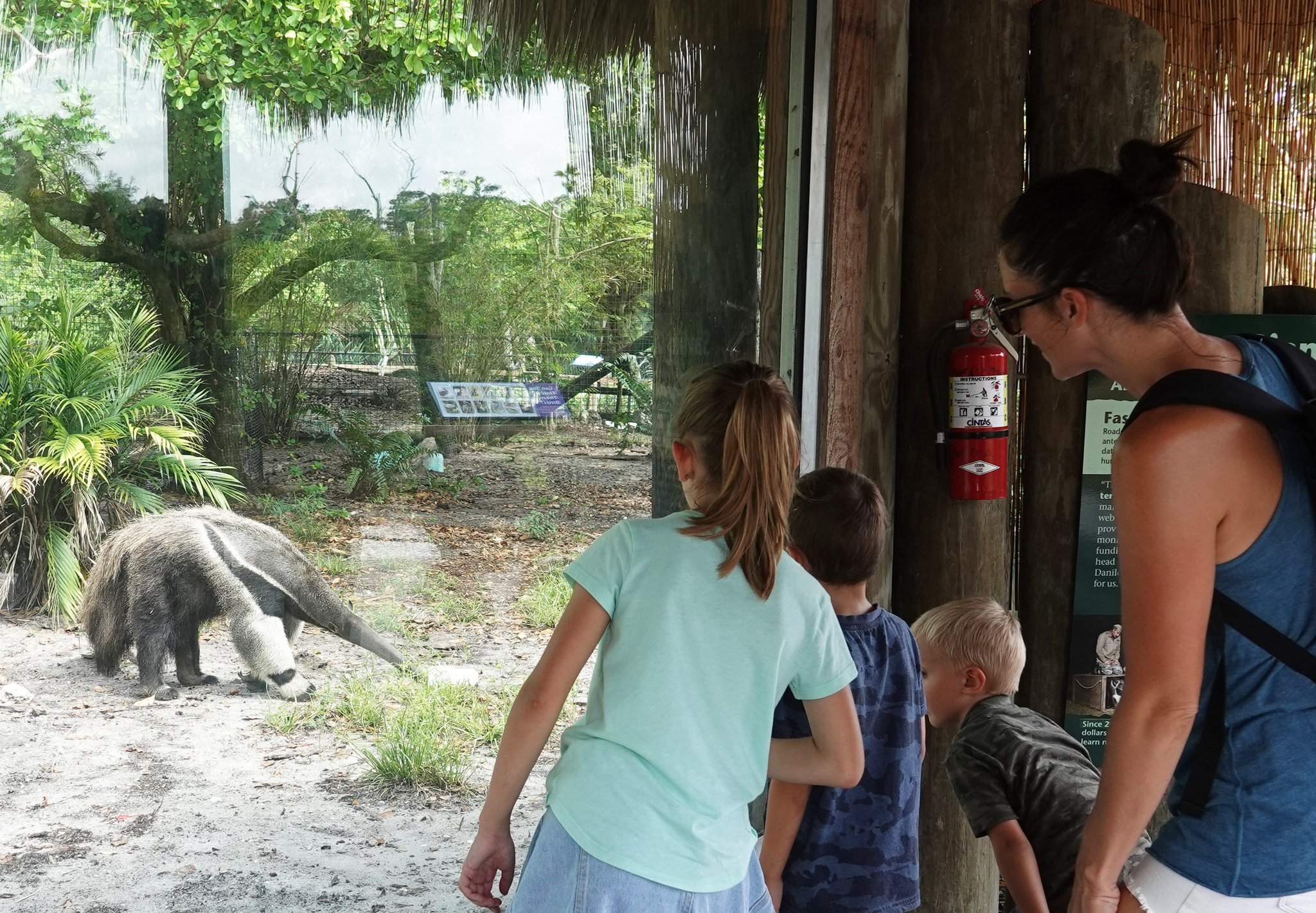 Naples Zoo on Twitter: "Naples Zoo is open today! Our hours are now 8 ...