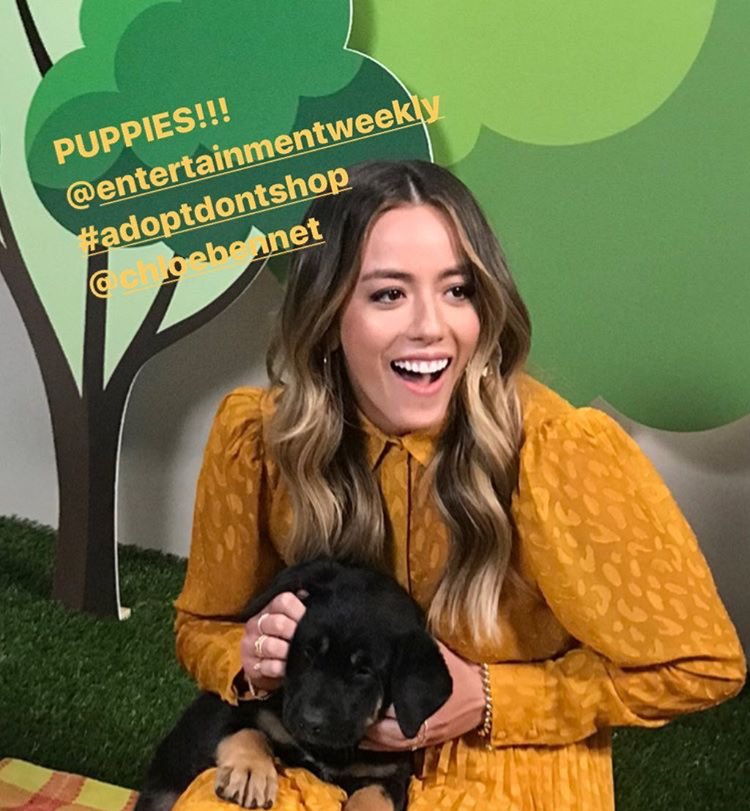 a thread of chloe bennet smiling but as you scroll her smile gets bigger: