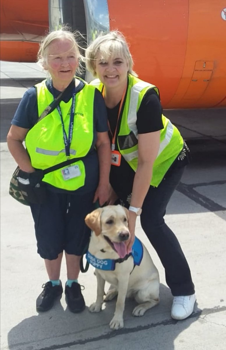 FlyMangoSA's tweet image. If there is anything we look forward to once we resume operations, it&apos;s training sessions with our fur buddies. 
We have a formidable team of instructors who train guide puppies and familarise them with the airport environment.

#GoMango
#mangostaff
#guidedogtraining