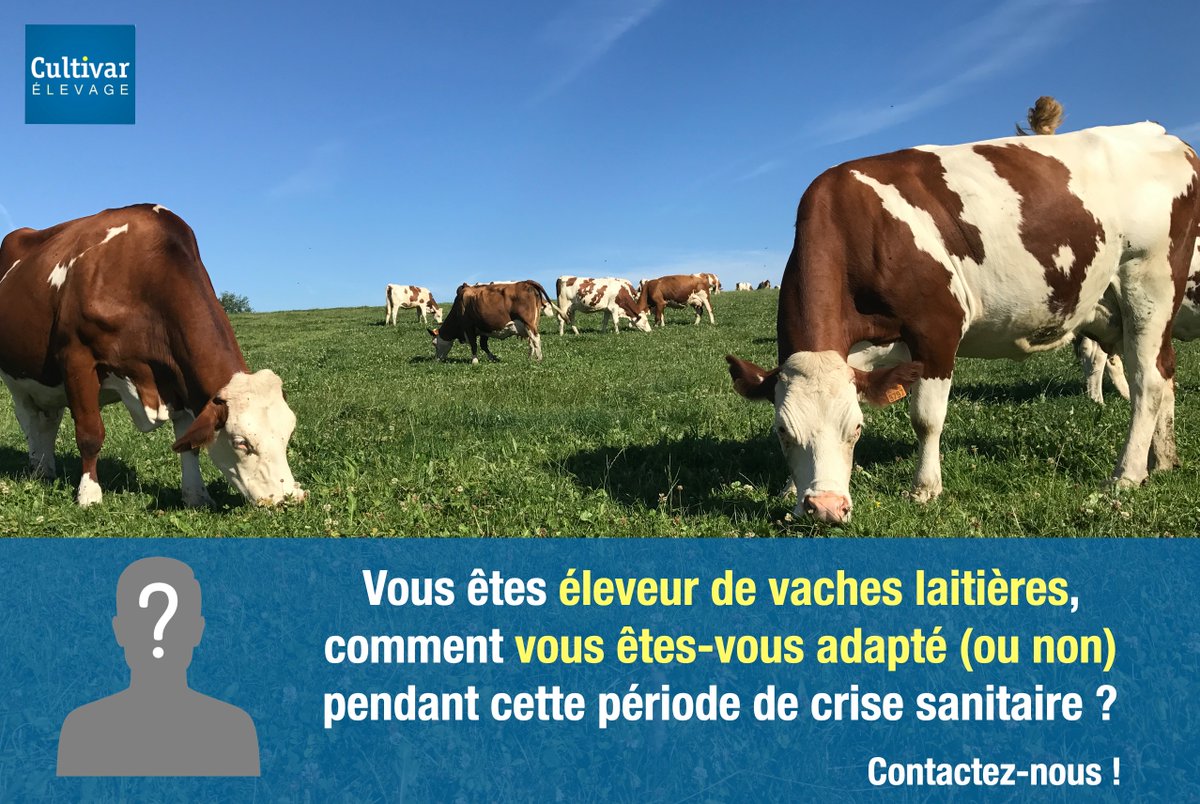 CultivarElevage's tweet photo. ⚠️ Témoignage ⚠️ 
Pour notre prochain numéro, nous sommes à la recherche de témoignages d'éleveurs laitiers ! Comment vous êtes-vous adapté pendant cette crise sanitaire (ou non) ?  Avez-vous dû réduire vos volumes (ou non) ? 
Laissez un commentaire si vous souhaitez témoigner ⬇️ https://t.co/FQgfmsO7bX