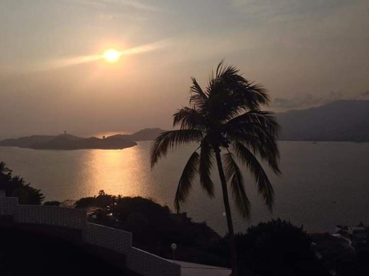 Carlos (@carlos43855786) on Twitter photo 